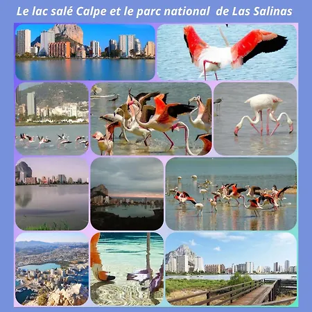 100 M De Playa Apartment *