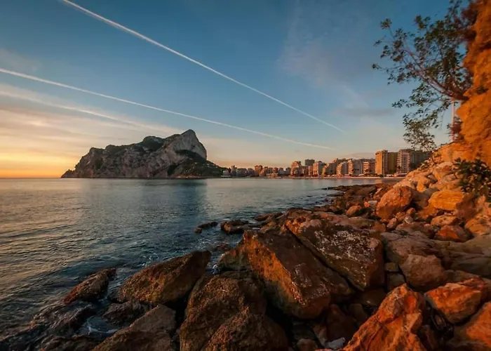 100 M De Playa アパート