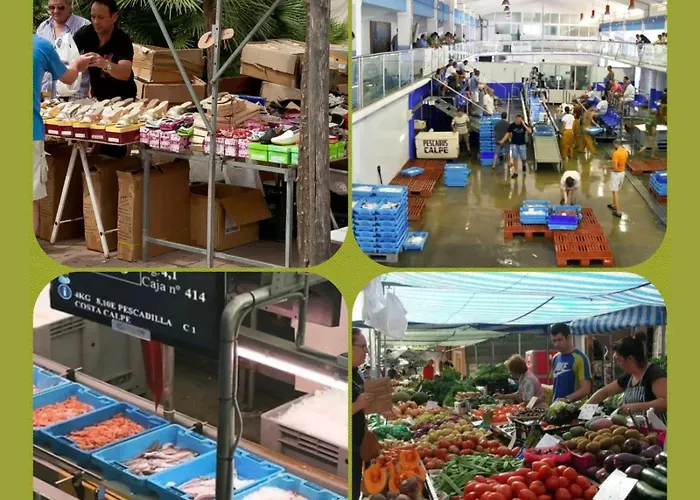 公寓 100 M De Playa 卡尔佩