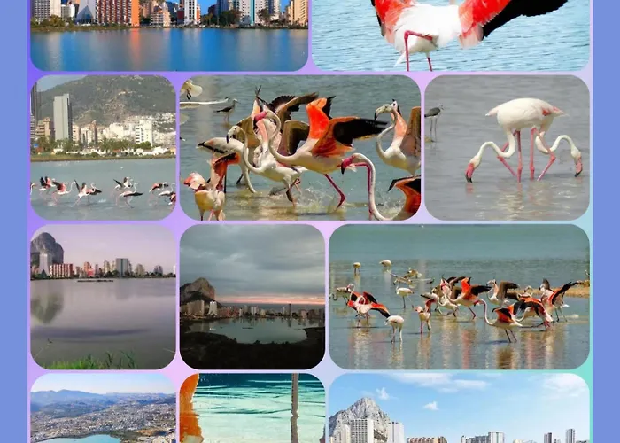 100 M De Playa Lägenhet *